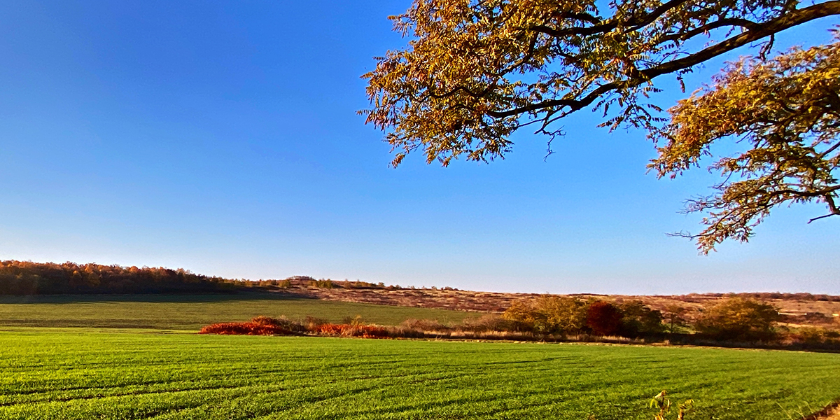 Meghívó Agrárfórumra