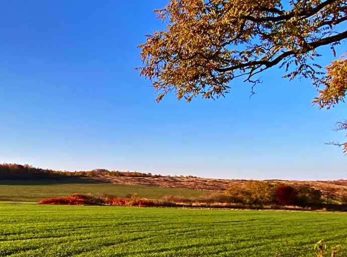 Meghívó Agrárfórumra