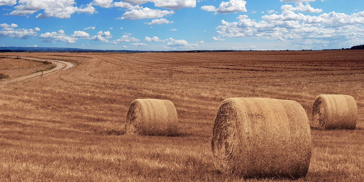 Új támogatási rendszer az agrárvállalkozóknál