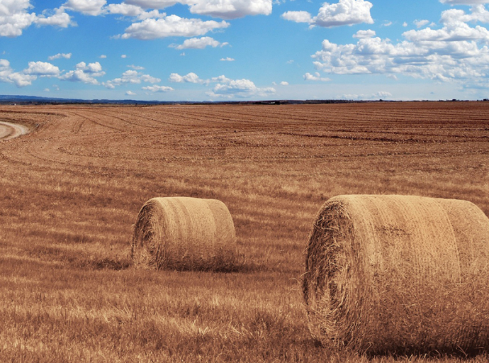 Új támogatási rendszer az agrárvállalkozóknál