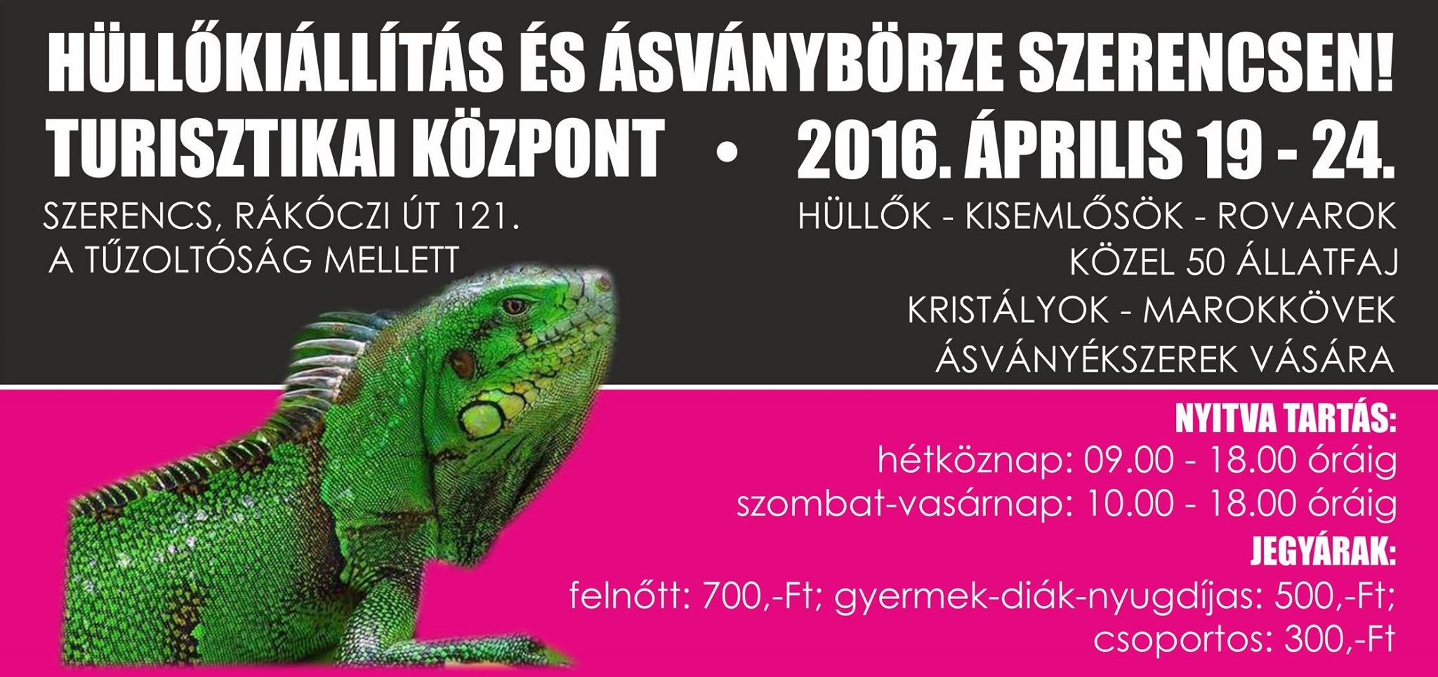 Hüllőkiállítás Szerencsen