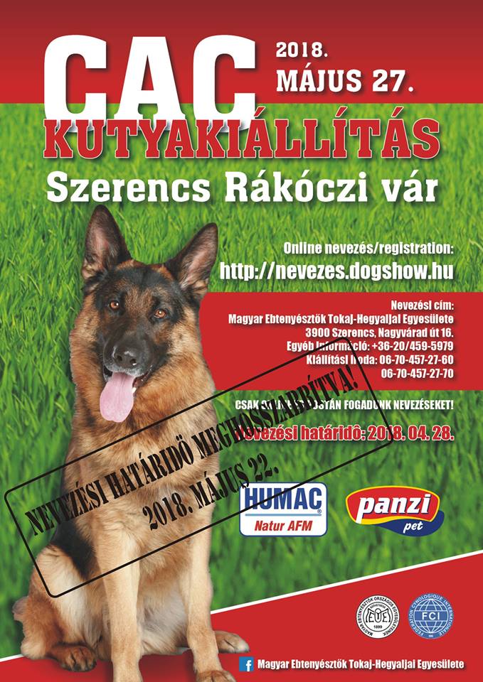 Kutyakiállítás Szerencsen